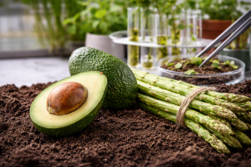 Perú articula agenda nacional para enfrentar el riesgo de cadmio en cultivos hortofrutícolas