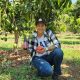 “El mango de Michoacán necesita un distintivo de calidad para darle mayor impulso a esta industria"