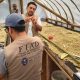 Tecnología de secado solar reduce pérdidas y eleva calidad del café
