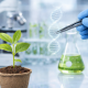 Nuevo marco regulatorio abre camino a la edición génica en investigación agrícola