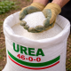 Alza de la urea y riesgo climático presionan la competitividad agroexportadora