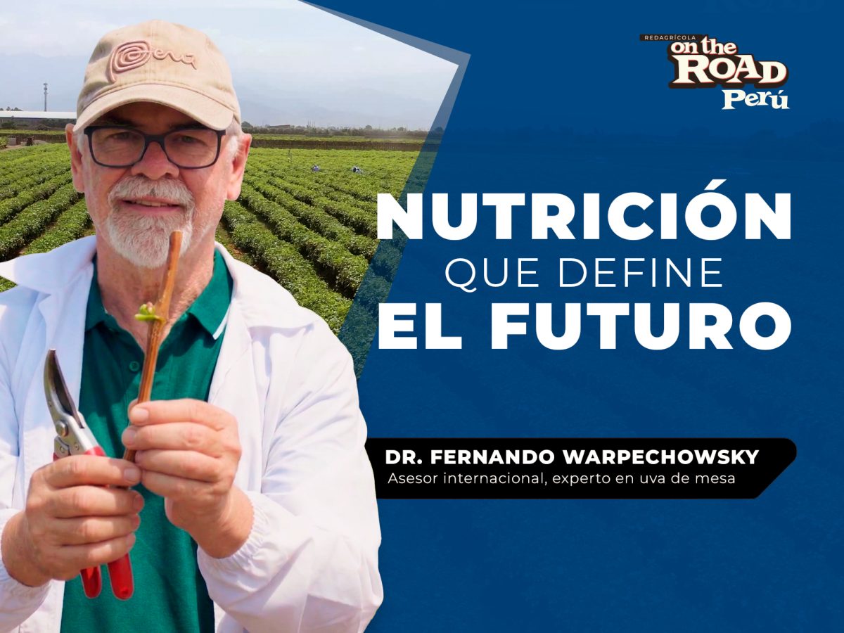 Nutrición desde el origen: claves para plantas de alto potencial