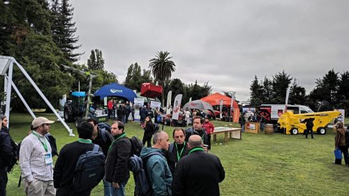 Día nacional del avellano europeo culmina con lanzamiento de libro de Andrés Reyes