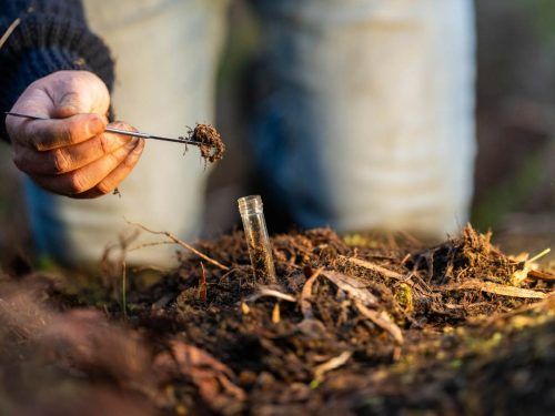 Salón Biológicos: el espacio donde se abordará el futuro de los bioinsumos en la Conferencia Redagrícola Chile 2026