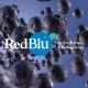 RedBlu: 3 minutos con la información clave del arándano peruano