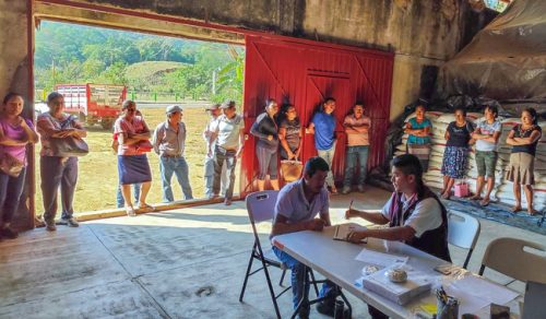 México amplía la entrega gratuita de fertilizantes para más de 600.000 productores