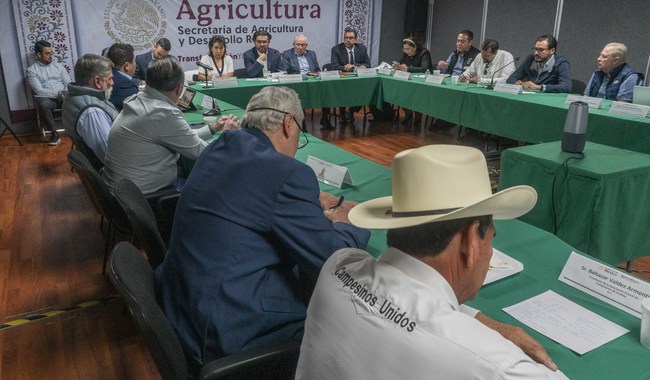 Gobierno mexicano establece acuerdo de compra para la cosecha de maíz en el estado de Sinaloa