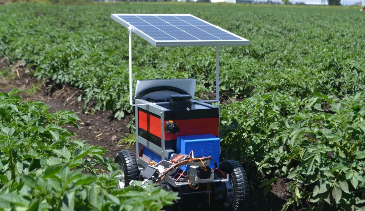 Robot desarrollado por investigadores de la Universidad de La Sabana promete revolucionar el cultivo de papa en Colombia