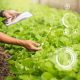 Filosofía Lean y transformación digital: claves para responder al desafío alimentario actual