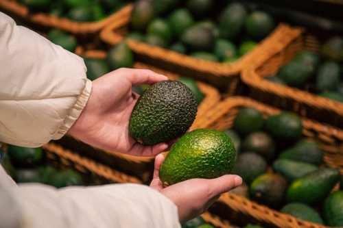 Consumidores seriales: chilenos comieron un récord de casi 9 kilos de palta per cápita en 2025