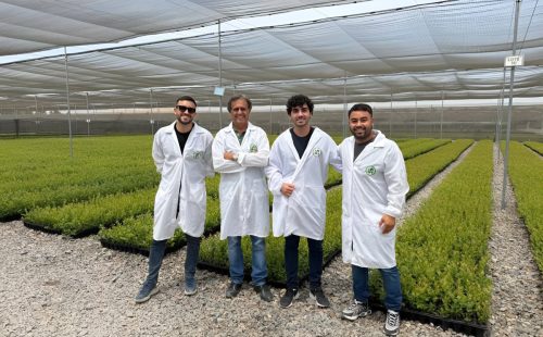 Alianza chileno-brasileña busca potenciar genética de vanguardia y biotecnología para producir frutas de alto valor