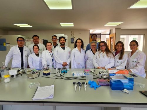 Países de la región andina fortalecen la vigilancia fitosanitaria frente al Complejo de la Punta Morada de la Papa