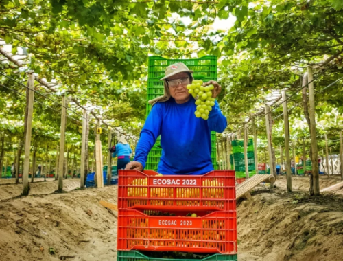 Ecosac concreta refinanciación por US$215 millones para sostener su expansión