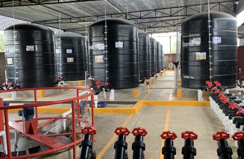 Hacia la excelencia en la fertirrigación de frutales