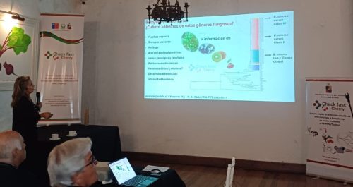 Sistema rápido de detección determinó que Botrytis puede ser mucho más agresiva que Alternaria en flores y frutos de cerezo