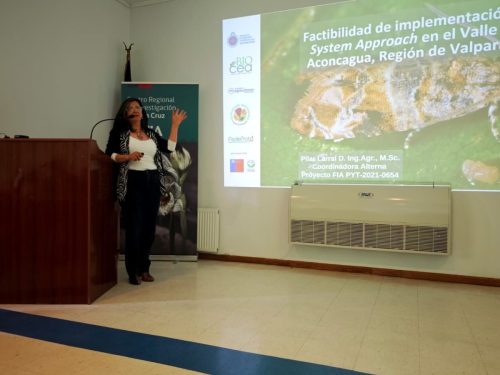 Para mejorar competitividad de la uva chilena: expertos piden destrabar con urgencia el Systems Approach con EE.UU.