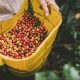 Exportaciones agropecuarias colombianas consolidan su dinámica: crecieron 63,2% en volumen