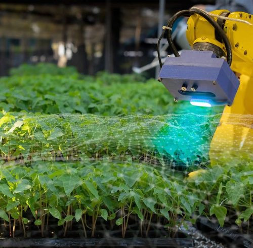 El mundo hortofrutícola no está indefenso ante al cambio climático