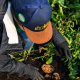 Proyecto piloto busca reducir las emisiones de fertilizantes en los cultivos de papa en Colombia