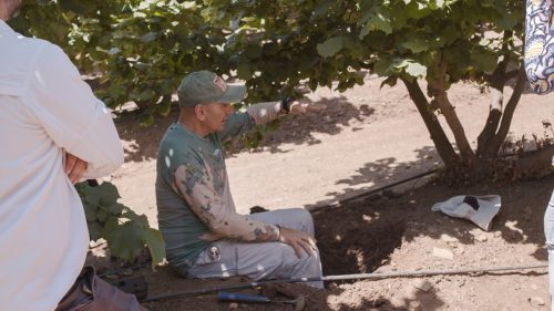 Una revolución desde abajo: cómo la agricultura regenerativa está redefiniendo la producción de alimentos