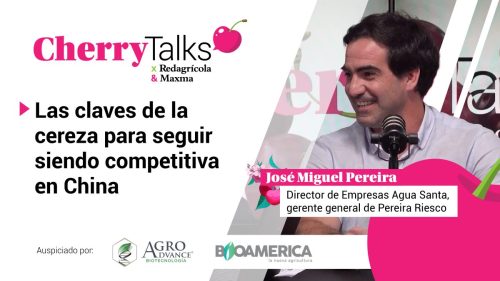 Cherry Talks: Redagrícola y Maxma Asesorías lanzan un nuevo programa de YouTube sobre la industria cerecera chilena