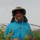 Ica Blueberries: una apuesta en el desierto iqueño que empieza a dar frutos