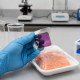 Empaques inteligentes con biosensores detectan la descomposición de alimentos mediante cambios de color