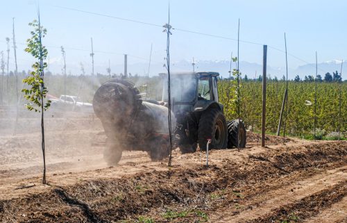 2026 año clave para normas de fertilizantes y bioestimulantes en Chile