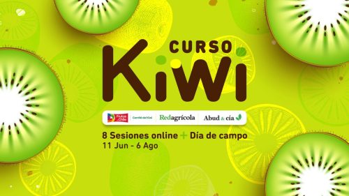 Todo lo que el productor de kiwi necesita saber hoy: Redagrícola, Comité del Kiwi y Abud & Cía. unen experiencia en un curso de actualización sobre los manejos del kiwi