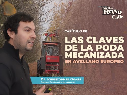 Las claves de la poda mecanizada en avellano europeo
