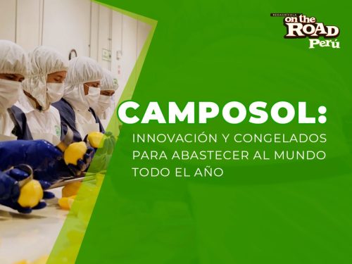 Camposol: innovación y congelados para abastecer al mundo todo el año