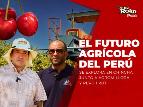 Agromillora y Perú Frut: genética, mecanización y los cultivos del futuro