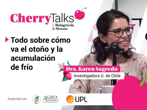 Nuevo capítulo de Cherry Talks: todo sobre cómo va el otoño y la acumulación de frío