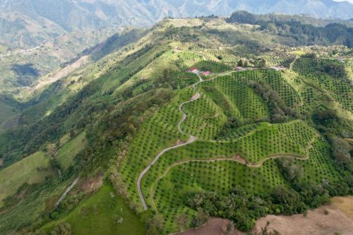 Transformación y perspectivas del mercado de fertilizantes edáficos en América Latina