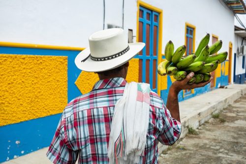 Bananeros defienden la institucionalidad y llaman a fortalecer la confianza para invertir