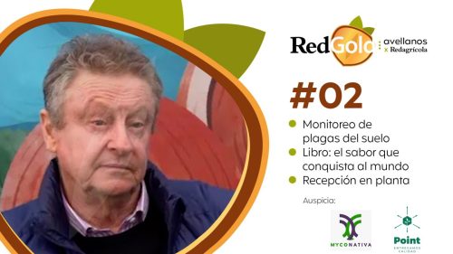 Opciones para enfrentar demoras en la recepción de avellanas en planta