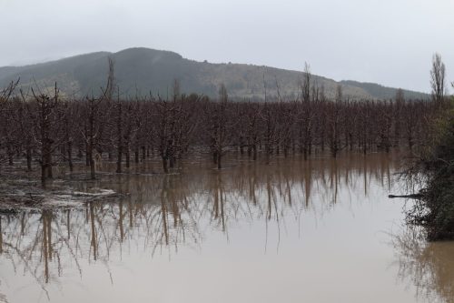 Lluvias en la zona centro-sur de Chile: expertos anticipan sistema frontal con río atmosférico de categoría 4