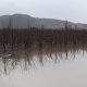 Lluvias en la zona centro-sur de Chile: expertos anticipan sistema frontal con río atmosférico de categoría 4