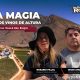 Viñedos de Alcohuaz: la magia de los vinos de altura en el Valle del Elqui