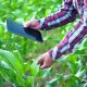 Aplicación móvil permite identificar soluciones agrícolas según cultivo, plaga o maleza