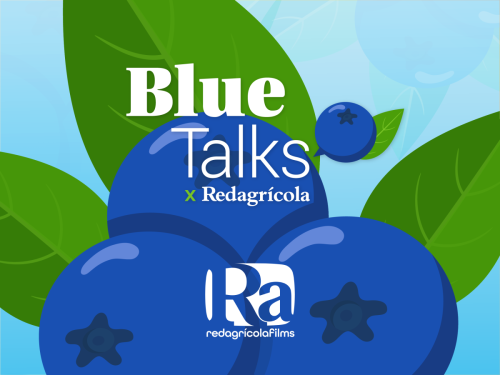 BLU TALKS: Redagrícola lanza un nuevo programa dedicado al cultivo del arándano