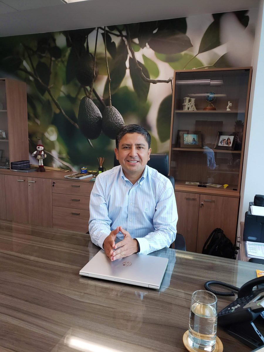 "Perú está viviendo un año histórico para la palta en Europa"