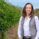 El gigante de los berries se renueva: Driscoll