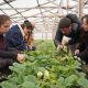 Seguridad alimentaria, innovación y producción sostenible en Magallanes