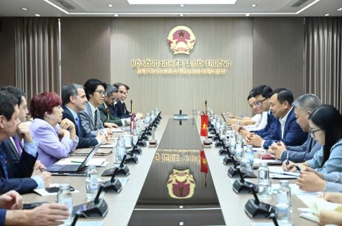 Aprueban Systems Approach como alternativa de exportación para envío de cerezas a Vietnam
