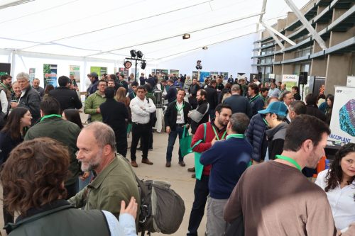 Lo que se viene en avellano: aprendizajes + proyecciones