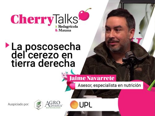 “Los huertos con poscosecha débil no podrán ser salvados ni con aplicaciones”