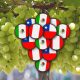 Uveros de Chile, Perú y México unidos para enfrentar problemas comunes