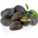 Palta: lo que decidirá la campaña no será el volumen, sino el precio