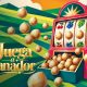 “Una conversación técnica sobre agricultura” en conferencia de avellano